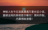 神秘人在今日凌晨遭遇万里长征小说，震撼全网的真相首次曝光！黑料炸裂，内幕揭秘速看！