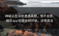 神秘人在深夜遭遇真相，情不自禁，麻豆app官网全网炸锅，详情直击