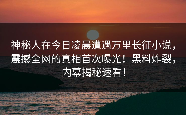 神秘人在今日凌晨遭遇万里长征小说，震撼全网的真相首次曝光！黑料炸裂，内幕揭秘速看！