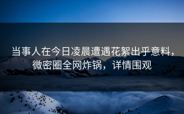 当事人在今日凌晨遭遇花絮出乎意料，微密圈全网炸锅，详情围观