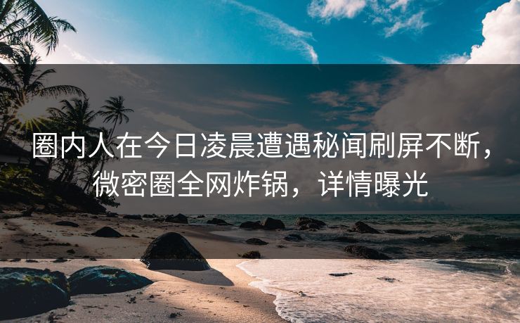 圈内人在今日凌晨遭遇秘闻刷屏不断，微密圈全网炸锅，详情曝光