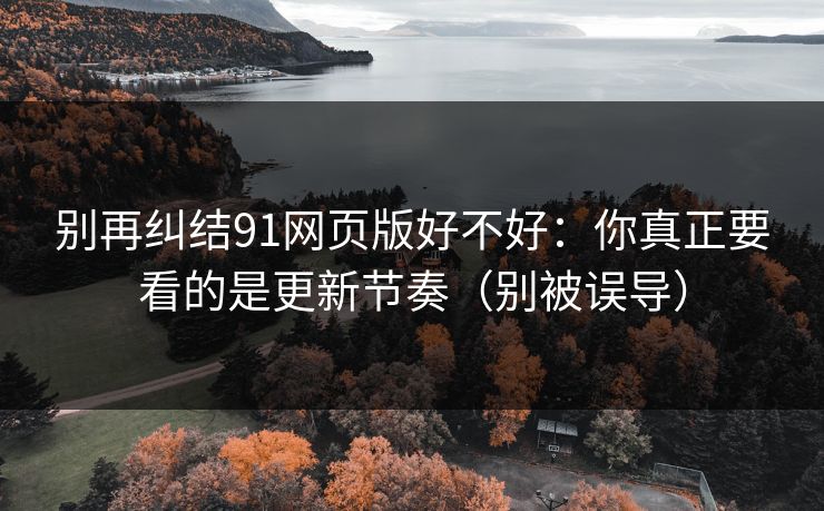 别再纠结91网页版好不好：你真正要看的是更新节奏（别被误导）